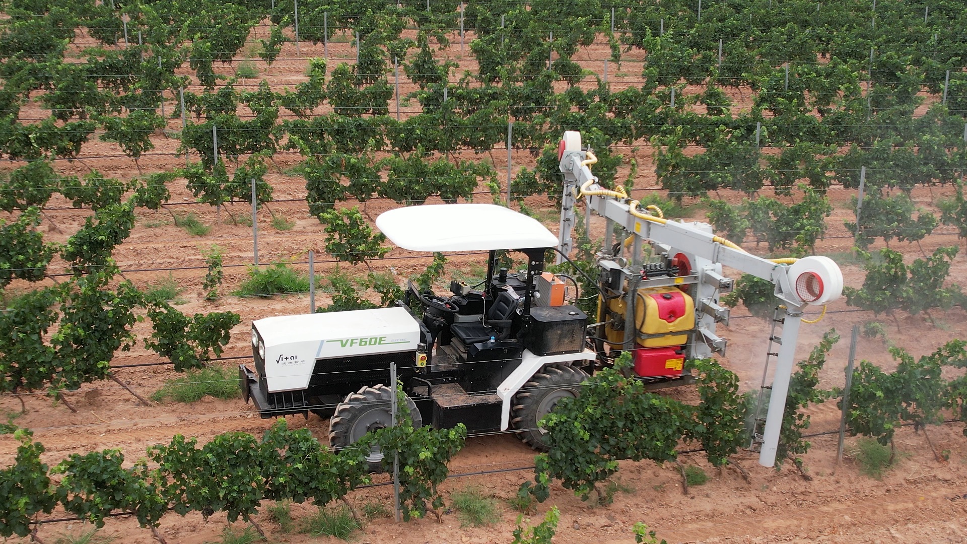 VF60E rear view spraying in vineyard